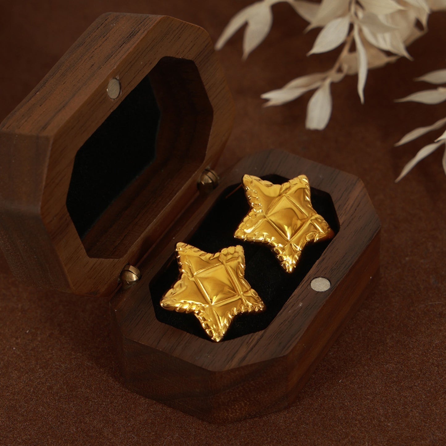 Titanium Steel Star Stud Earrings