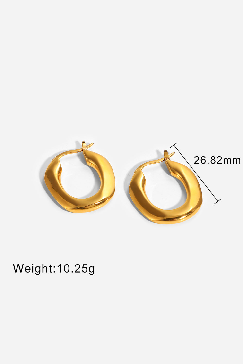 Oval Hoop Earrings